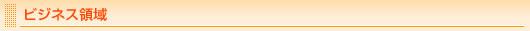 ビジネス領域